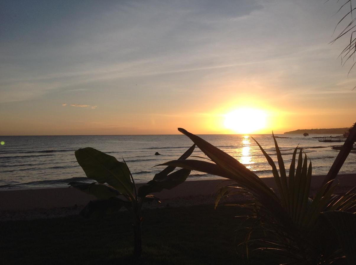 Bamboobeachvilla1 Ac New Oceanfront Pool Sunsetview Garden Kitchen Satellite Starlink Wi-Fi Dimiao Kültér fotó